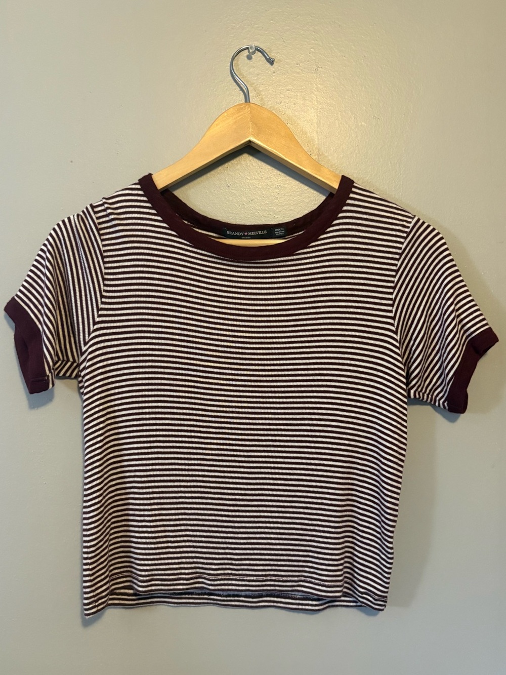 Brandy Melville Soft Cropped T-Shirt